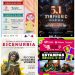 Música, títeres y danza tiene preparado el Gobierno de Pepe Chedraui para este fin de semana