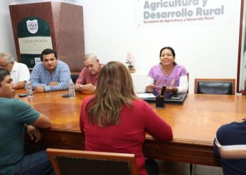 Avanza fortalecimiento del sorgo poblano con apoyos a productores de Tepexco