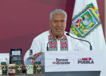 SEP sembrará 50 mil árboles en escuelas