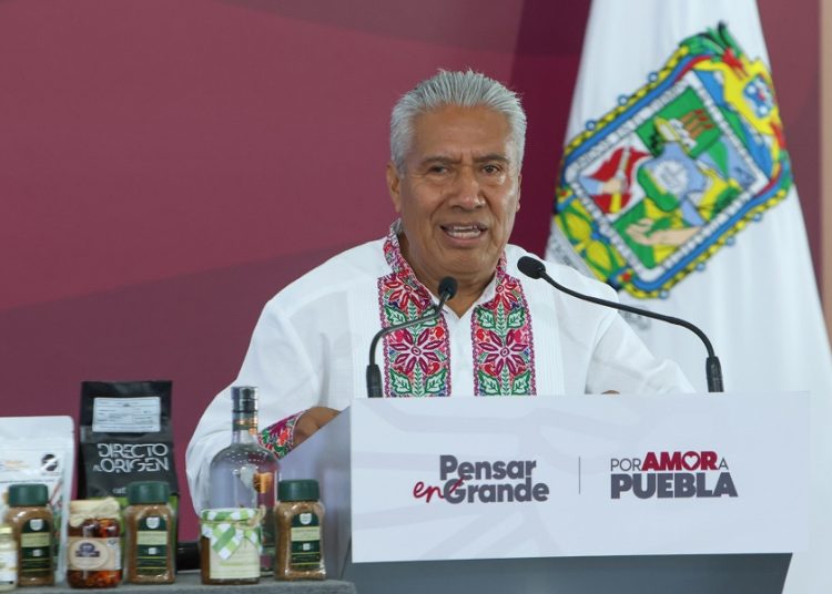 SEP sembrará 50 mil árboles en escuelas