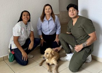Huesitos: cuando la justicia escuchó el sufrimiento de un perro