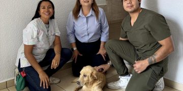Huesitos: cuando la justicia escuchó el sufrimiento de un perro