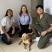 Huesitos: cuando la justicia escuchó el sufrimiento de un perro