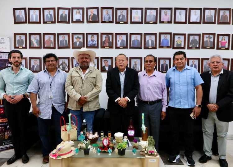 Festival Regional Villa Zapotitlán 2026 reconocerá a migrantes poblanos