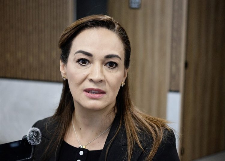 PAN descarta actos anticipados de campaña de Liliana Ortiz