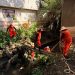 Limpian barranca en Romero Vargas para prevenir inundaciones