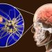 Meningitis: prevención y retos para México