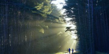 Salirnos del camino