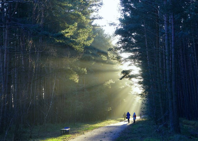 Salirnos del camino