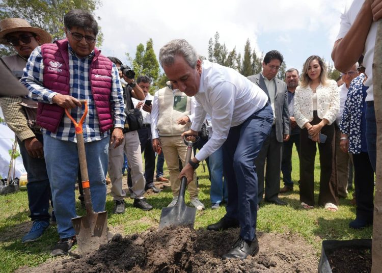 Avanza Pepe Chedraui en la recuperación de áreas verdes con “Raíces del Futuro”