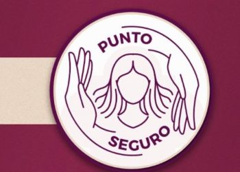 Aprueban ampliar programa Punto Seguro