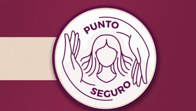 Aprueban ampliar programa Punto Seguro