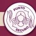 Aprueban ampliar programa Punto Seguro
