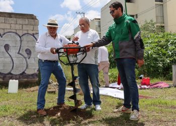 Puebla busca plantar más de 10 mil árboles este año