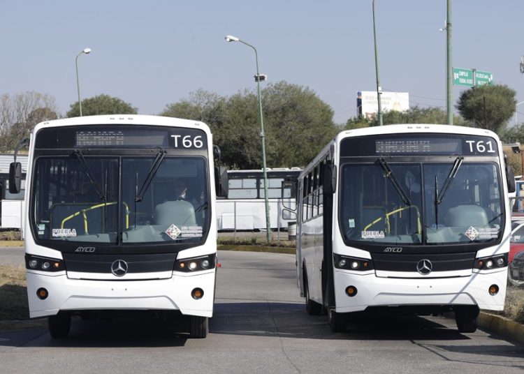 RUTA registra aumento de 11% en pasajeros