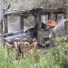 Explosión en Tepeaca exhibe avance del huachicol: PAN