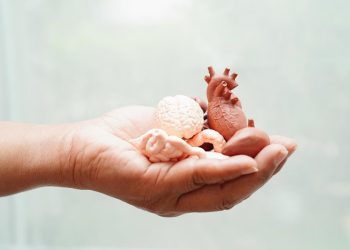 Proponen incluir donación de órganos en Ley de Voluntad Anticipada