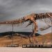 Un esqueleto de T. Rex se vende por un récord de 50.1 mdd en subasta en Nueva York