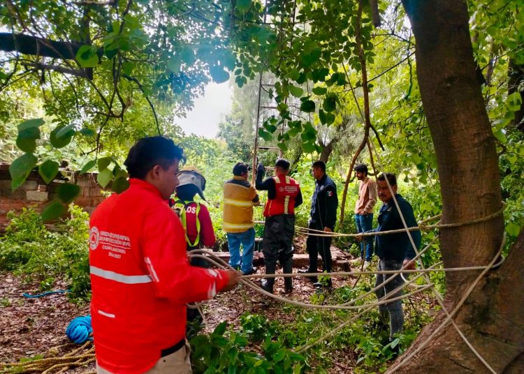 Bomberos y Protección Civil rescatan a ser sintiente en la Inspectoría Nuevo León