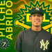 Exacadémico de los Pericos de Puebla logra segundo triunfo