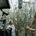 Cortometraje de la comunidad BUAP, nominado a los Premios Ariel