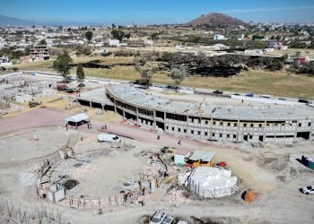 Puebla y su Célula de Bienestar Animal