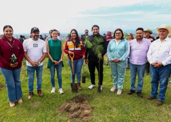 Impulsa Tonantzin Fernández acciones permanentes de reforestación en el Cerro Zapotecas