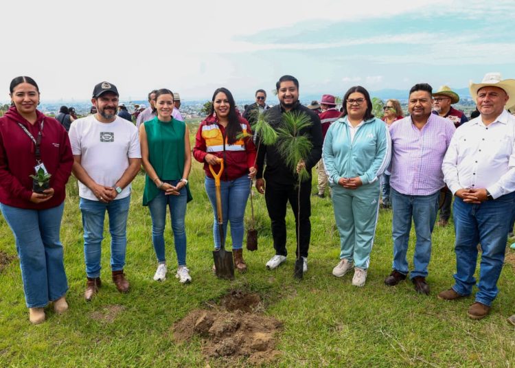 Impulsa Tonantzin Fernández acciones permanentes de reforestación en el Cerro Zapotecas