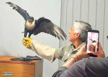 DIF Municipal y Gobierno de Texmelucan fortalecen la protección de fauna silvestre