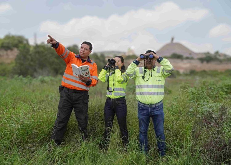 Cemex recibe reconocimiento internacional por conservación de la biodiversidad