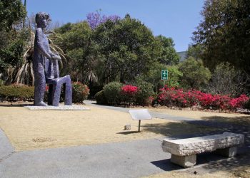 Slim y Grupo Carso revivirán barrios de Puebla