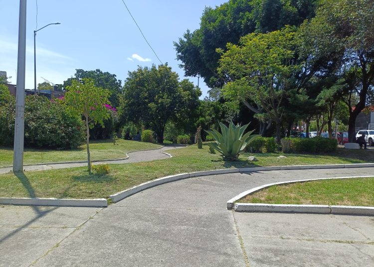 Fortalece Gobierno de Pepe Chedraui mantenimiento del Parque Rómulo O’Farril