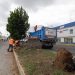 Ayuntamiento reforzará podas y derribos preventivos de árboles