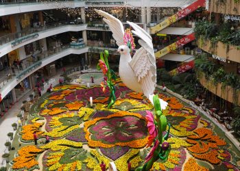 Paloma gigante adorna a Medellín