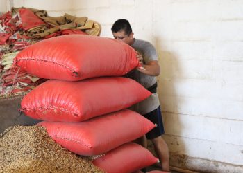 Productores alertan crisis en el campo por revisión del T-MEC