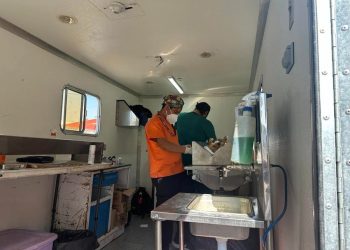 Ayuntamiento ha realizado más de 18 mil esterilizaciones gratuitas