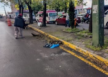 Intervienen más de 16 millones de m² de camellones