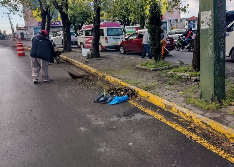 Intervienen más de 16 millones de m² de camellones