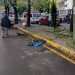 Intervienen más de 16 millones de m² de camellones