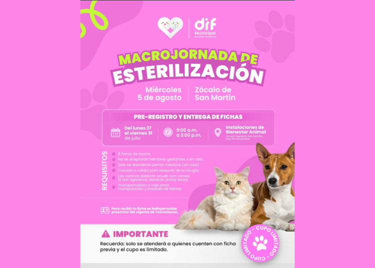 Anuncian macrojornada de esterilización en Texmelucan