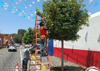 Lupita Cuautle impulsa reforestación en escuelas