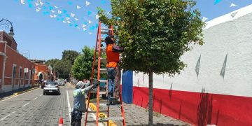 Lupita Cuautle impulsa reforestación en escuelas