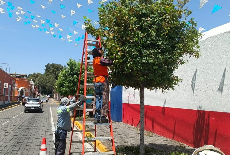 Lupita Cuautle impulsa reforestación en escuelas