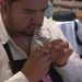 Con ‘Premio al Origen 2026’, Puebla fortalece el valor agregado del mezcal artesanal